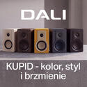 KUPID - KOLOR, STYL I BRZMIENIE