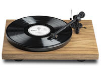 DEBUT RECORDMASTER II WOOD (OM5e)